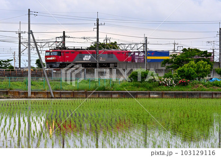 田園地帯を走る赤い貨物列車:東武伊勢崎線 田園地帯を走る赤い貨物列車:東武伊勢崎線 103129116