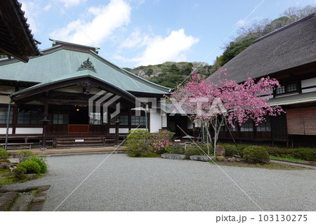 海蔵寺 103130275