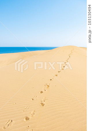 鳥取砂丘 鳥取砂丘 103130494