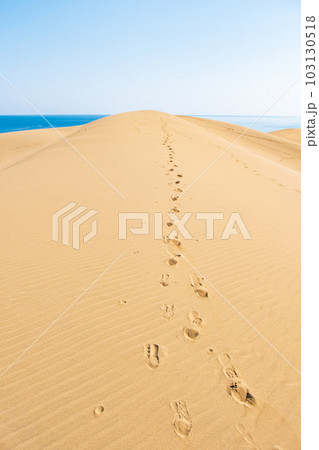 鳥取砂丘 鳥取砂丘 103130518