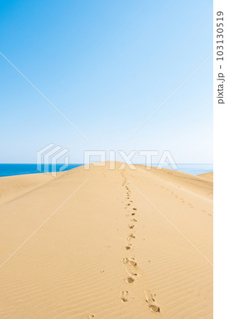 鳥取砂丘 103130519