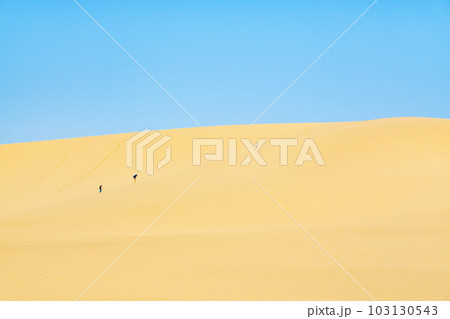 鳥取砂丘 103130543