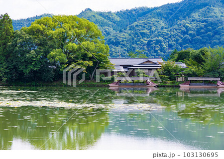 京都嵯峨嵐山の夏　緑豊かな大覚寺　大沢池 103130695