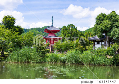 京都嵯峨嵐山の夏 緑豊かな大覚寺 心経宝塔 京都嵯峨嵐山の夏 緑豊かな大覚寺 心経宝塔 103131347