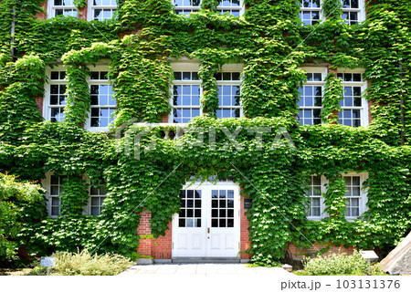 西南学院大学キャンパス　福岡市早良区西新6丁目 103131376