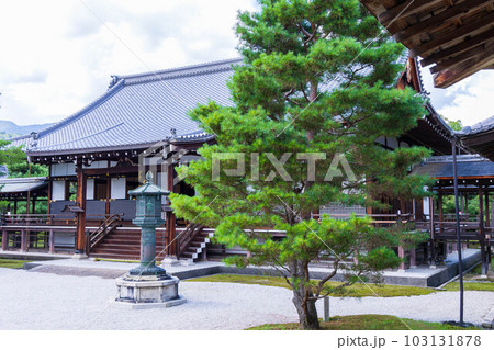 京都嵯峨嵐山の夏 緑豊かな大覚寺 御影堂 京都嵯峨嵐山の夏 緑豊かな大覚寺 御影堂 103131878