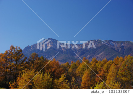 紅葉したカラマツ林越しに望む赤岳 紅葉したカラマツ林越しに望む赤岳 103132807