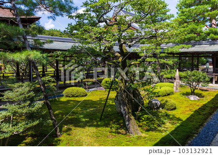 京都嵯峨嵐山の夏　緑豊かな大覚寺　お堂エリア 103132921