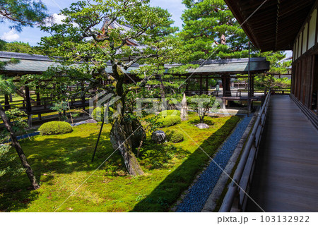 京都嵯峨嵐山の夏 緑豊かな大覚寺 お堂エリア 京都嵯峨嵐山の夏 緑豊かな大覚寺 お堂エリア 103132922
