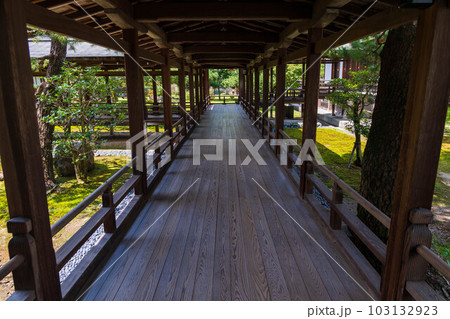 京都嵯峨嵐山の夏 緑豊かな大覚寺 村雨の廊下 京都嵯峨嵐山の夏 緑豊かな大覚寺 村雨の廊下 103132923