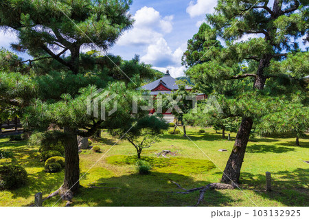 京都嵯峨嵐山の夏 緑豊かな大覚寺 お堂エリア 京都嵯峨嵐山の夏 緑豊かな大覚寺 お堂エリア 103132925