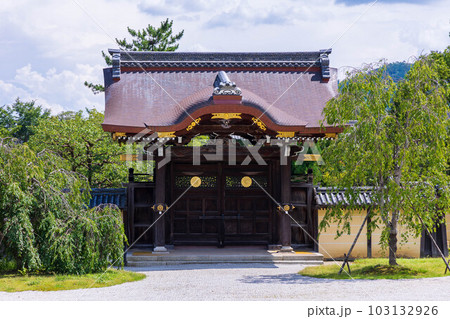 京都嵯峨嵐山の夏 緑豊かな大覚寺 勅使門 京都嵯峨嵐山の夏 緑豊かな大覚寺 勅使門 103132926