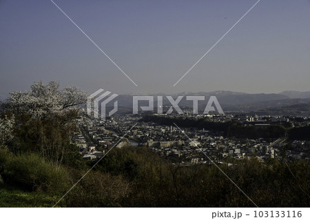 桜咲く金沢の街並みの景色 103133116