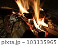 焚火 103135965