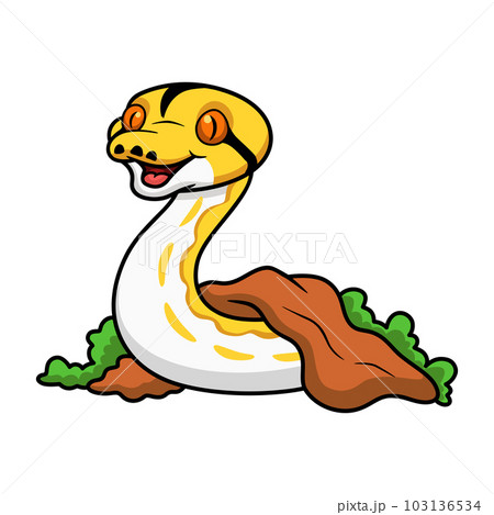 Cute albino tiger reticulated python cartoon out from hole 103136534