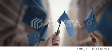 A group of people holding small flags of the Food and agriculture organization in their hands 103136704
