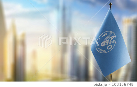 Small flags of the Food and agriculture organization on an abstract blurry background 103136749