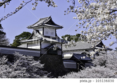 満開の桜が美しい金沢城公園 満開の桜が美しい金沢城公園 103136830