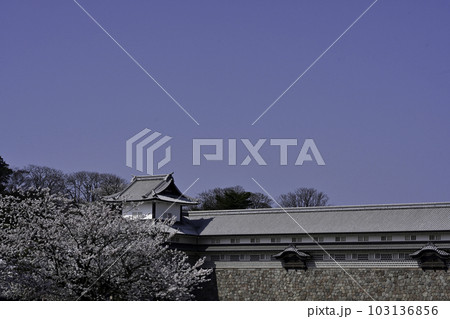 満開の桜が美しい金沢城公園 満開の桜が美しい金沢城公園 103136856