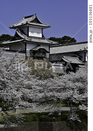 満開の桜が美しい金沢城公園 満開の桜が美しい金沢城公園 103136881