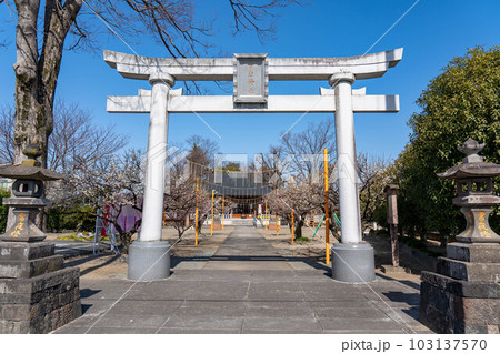 上里菅原神社石鳥居 上里菅原神社石鳥居 103137570