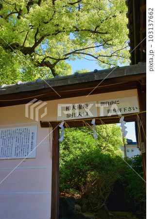 新熊野神社　樟大権現 参拝入り口　（京都市東山区） 103137662