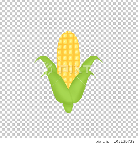 Corn on the cob 103139738
