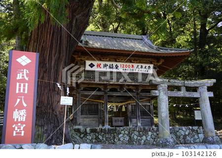 武田八幡宮 　随神門 　 山梨県韮崎市神山町 103142126