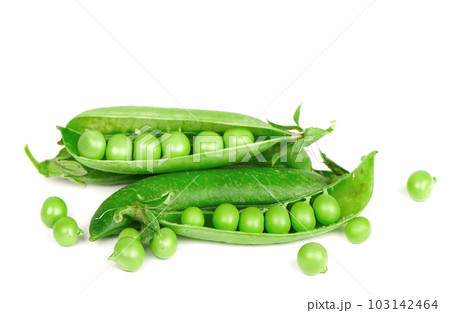 Raw green peas in pods isolated on the white background 103142464