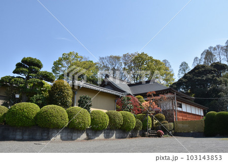 大岡越前守一族墓所がある浄見寺　 103143853