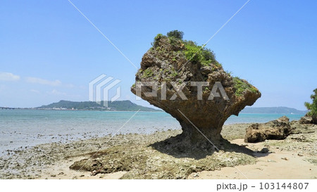浜比嘉島の珊瑚隆起(沖縄県) 浜比嘉島の珊瑚隆起(沖縄県) 103144807