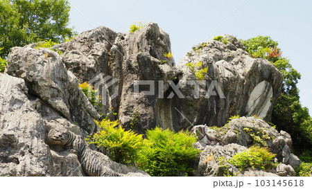 岐阜県大垣市 岩巣公園 103145618