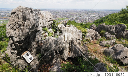 岐阜県大垣市 岩巣公園 亀岩 103146022