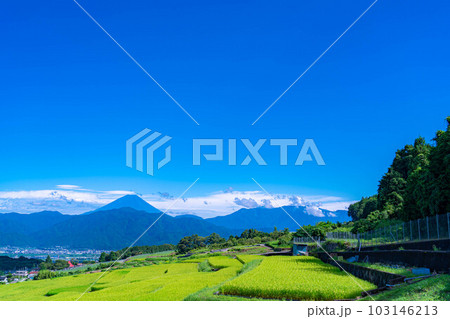 【夏素材】中野の棚田から見る富士山【山梨県】 103146213