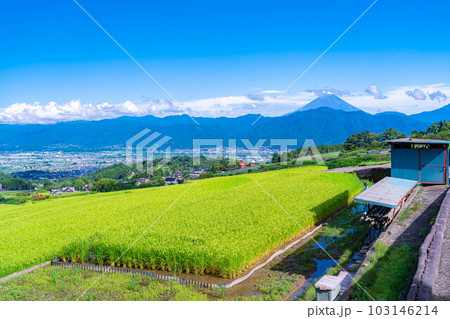 【夏素材】中野の棚田から見る富士山【山梨県】 103146214