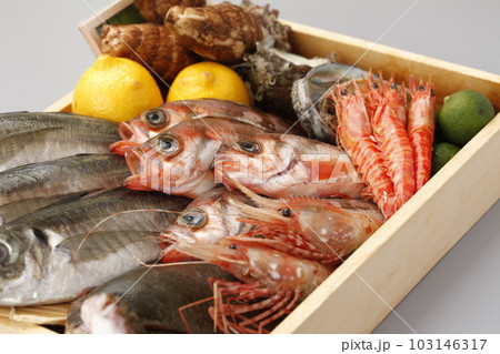 海鮮魚介ネタトロ箱その5 103146317