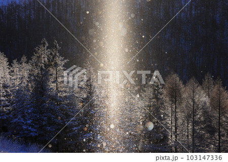 霧ヶ峰のダイヤモンドダストとサンピラー 103147336