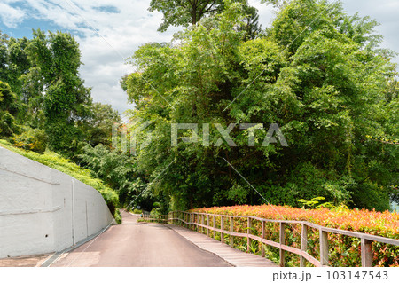 Sentosa island Fort Siloso trail in Singapore 103147543