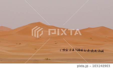 サハラ砂漠、シェビ大砂丘の景色とラクダの行列【モロッコ・メルズーガ】 103148903