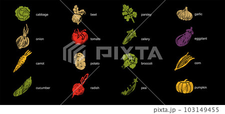 Vegetable abstract illustration. Flat vector. Vegetable icons, drawn style. Vegetable abstract illustration. Flat vector. Vegetable icons, drawn style. 103149455