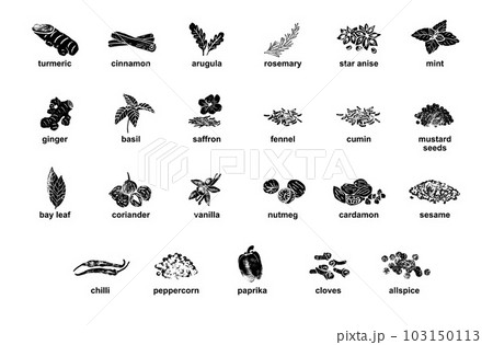 Kitchen herbs and spices isolated vector set. Illustration of ingredient herb, garlic and spice for cooking.	 103150113