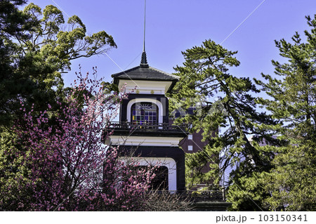 梅が見頃の尾山神社 103150341