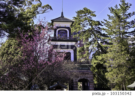 梅が見頃の尾山神社 103150342