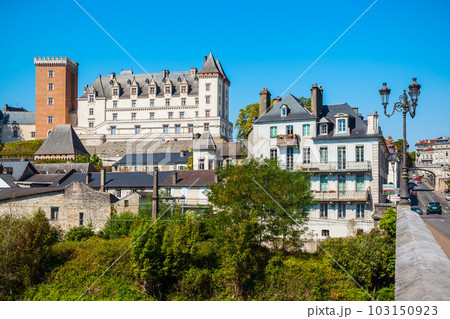 Chateau de Pau castle, France 103150923