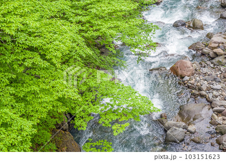 涼し気な渓流 103151623