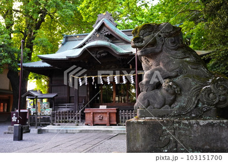 谷保天満宮 拝殿 東京都国立市谷保 谷保天満宮 拝殿 東京都国立市谷保 103151700