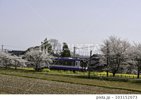のと鉄道の列車と沿線の桜 103152073