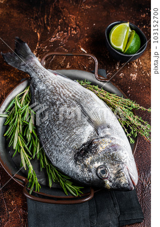 Uncooked Raw sea bream or dorado fish with herbs. Dark background. Top view 103152700