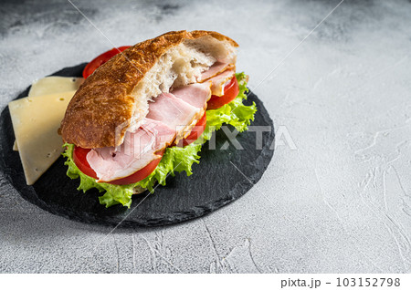 Fresh and healthy turkey sandwich with white cheese, tomato and Lettuce in white bread. White background. Top view. Copy space Fresh and healthy turkey sandwich with white cheese, tomato and Lettuce in white bread. White background. Top view. Copy space 103152798