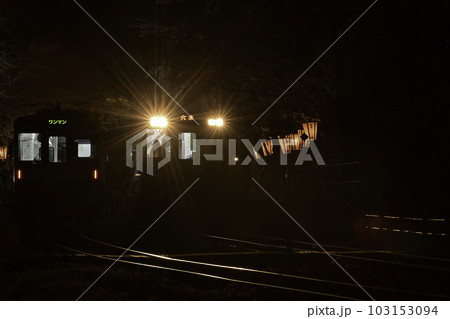 雪洞が灯る桜満開ののと鉄道さくら駅 103153094
